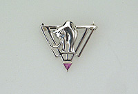 Katzenschmuck Silber